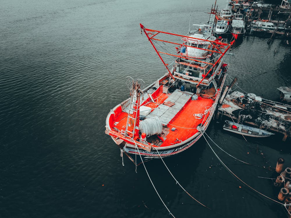 Fishing ship moored in dock with boats