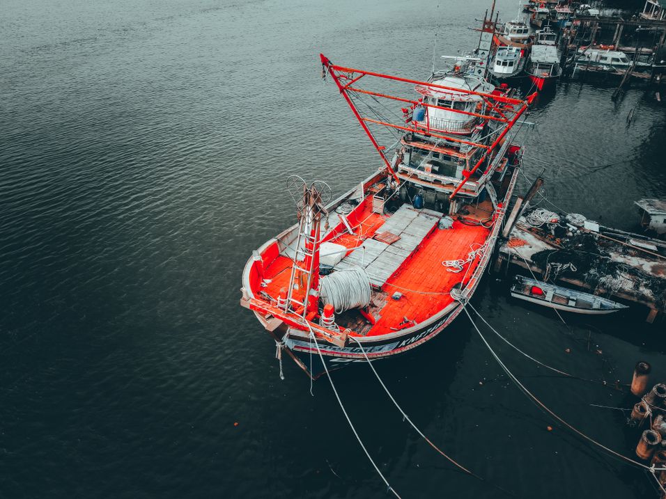 What Is a Sign You Should Reject a Fish Delivery? [Answer]