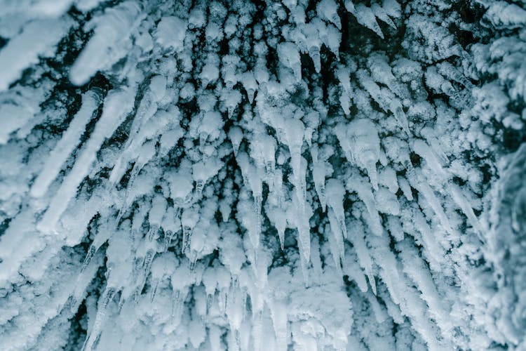 Close Up Of Icicles