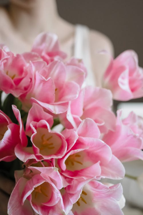 Immagine gratuita di avvicinamento, bouquet, fiori rosa