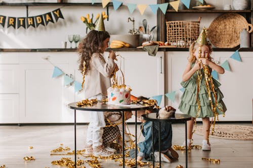 Children Having Fun at Birthday Party