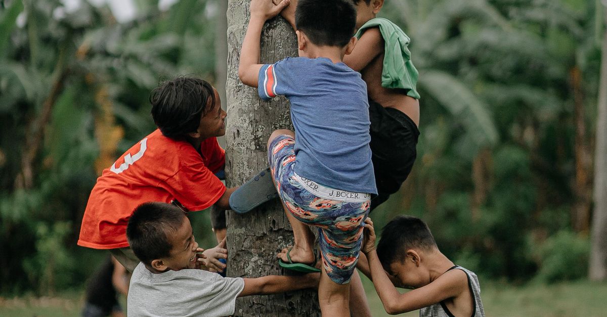 Chiled Tree Photo of Children Climbing a Tree · Free Stock Photo