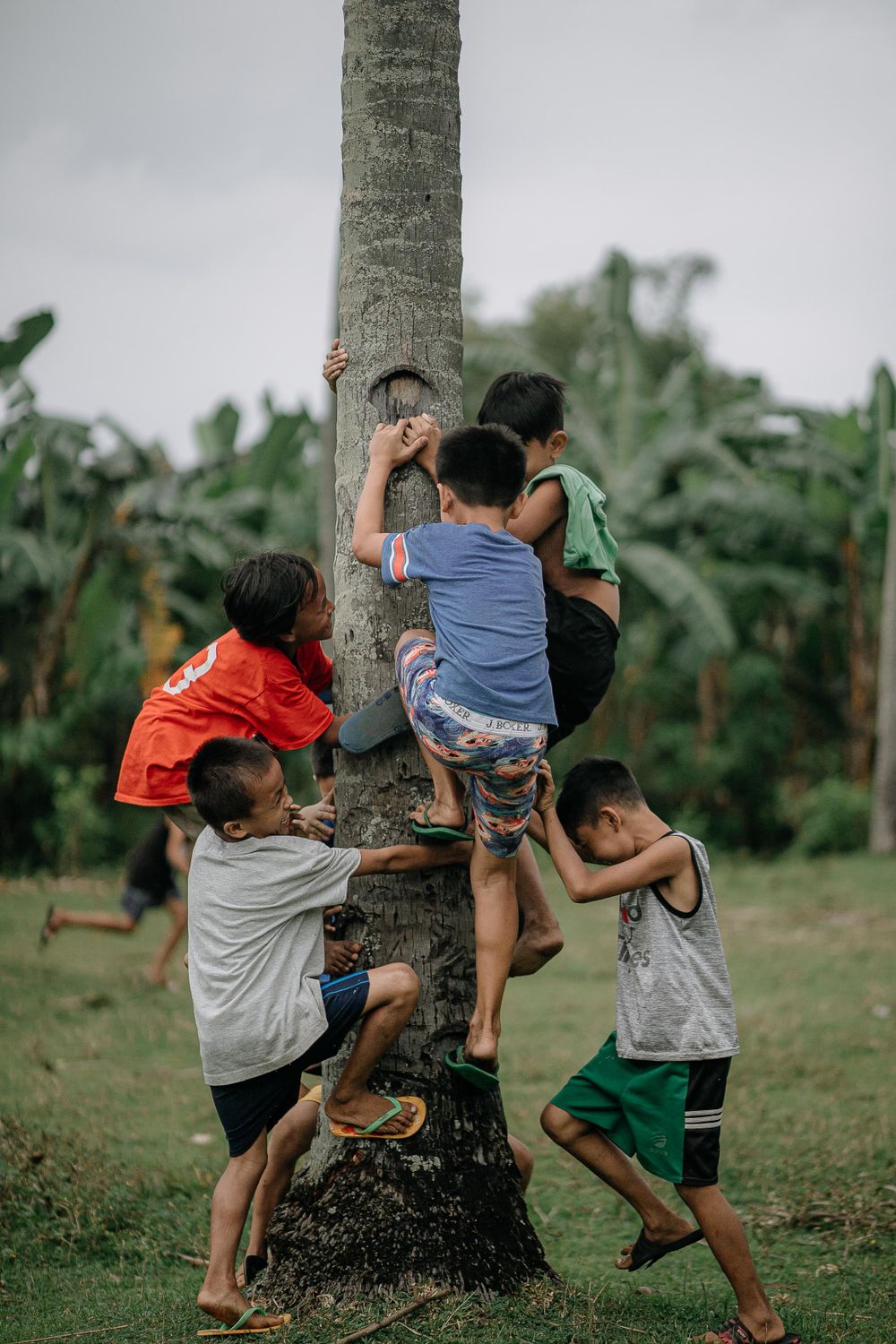 Photo of Children Climbing a Tree · Free Stock Photo