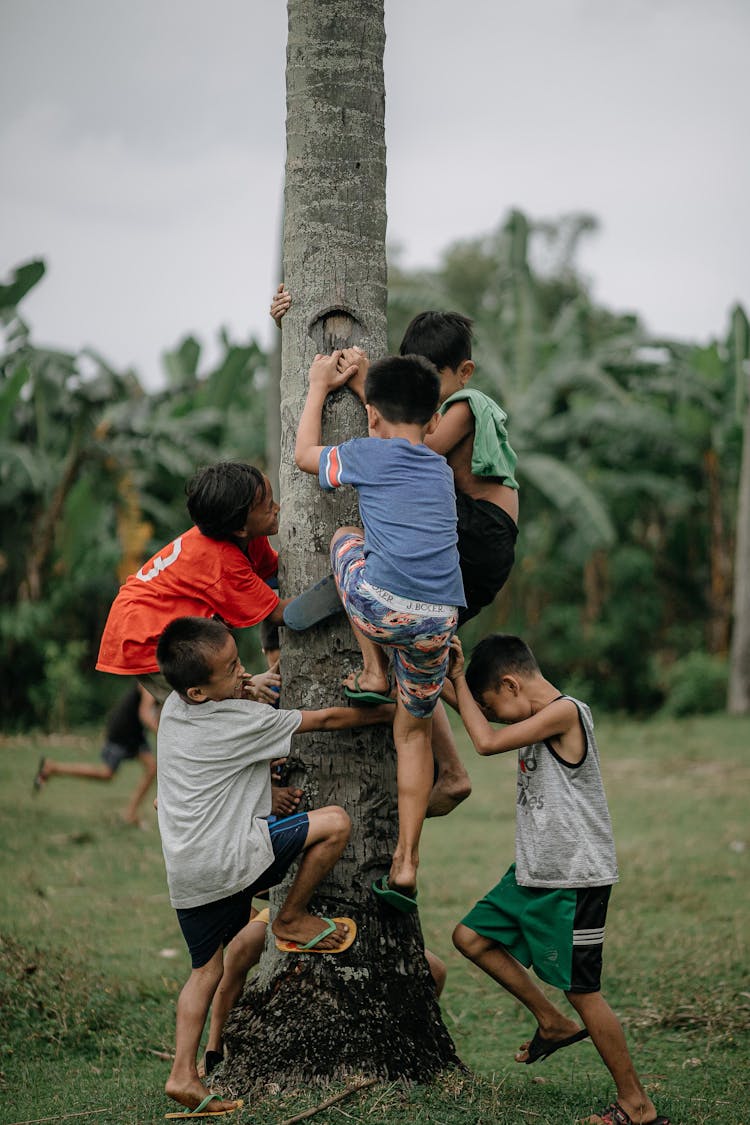 Photo Of Children Climbing A Tree