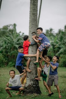 Six happy Asian boys playing and climbing a tree in a lush outdoor setting.