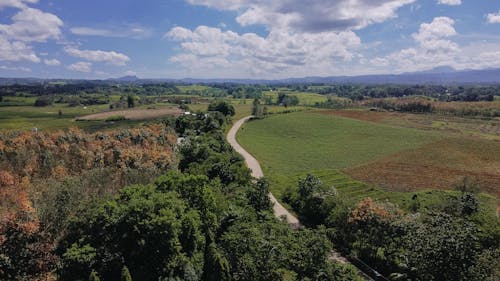 Free Aerial view of a winding road through lush rural countryside and farmland under a bright summer sky. Stock Photo