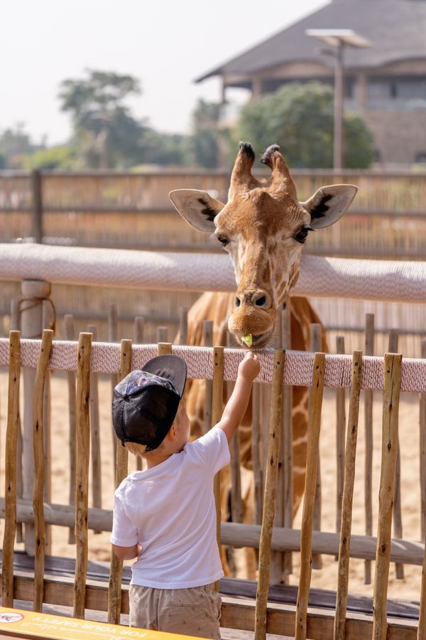Children with giraffe