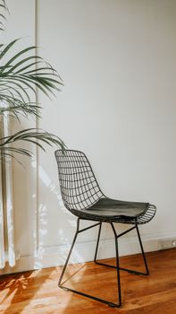 Interior of bright empty flat with chair on floor near white wall and green plant in sunlight