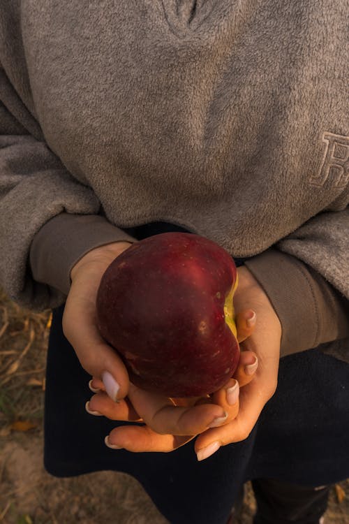 Gratis arkivbilde med apple, hender, holde