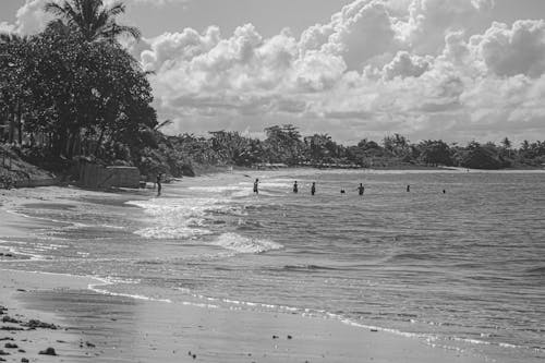 Free Grayscale Photo of People on Beach Stock Photo