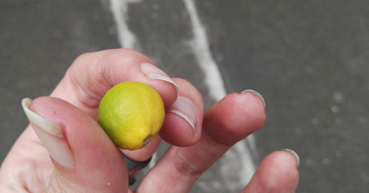 Free stock photo of lemon