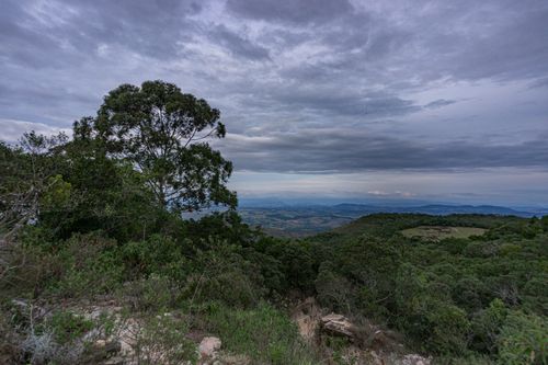 Free A breathtaking landscape view with rolling hills, dense trees, and a gloomy sky. Stock Photo
