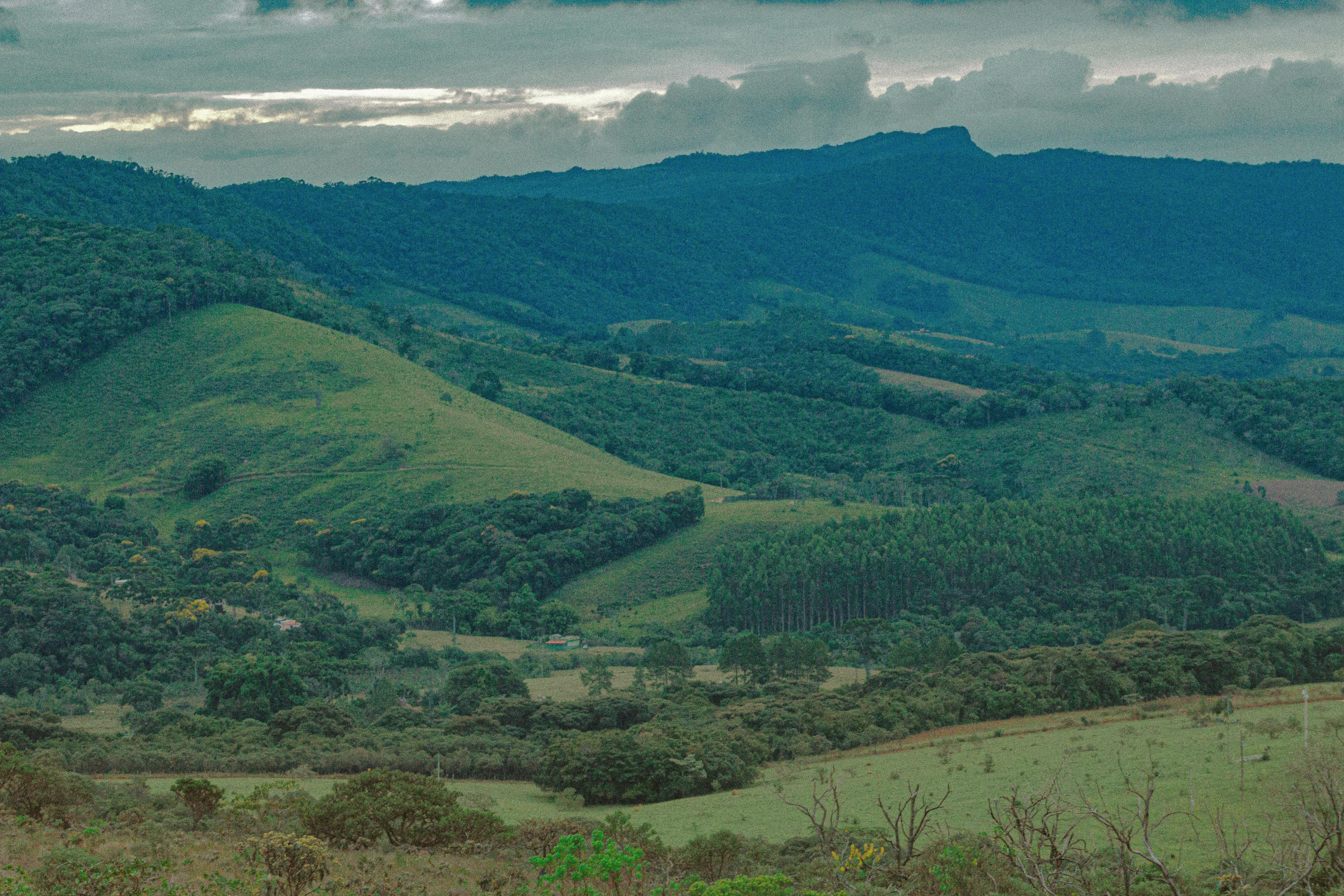 Panorama das Notícias: Viagens, Emoções Familiares e Segurança Pública