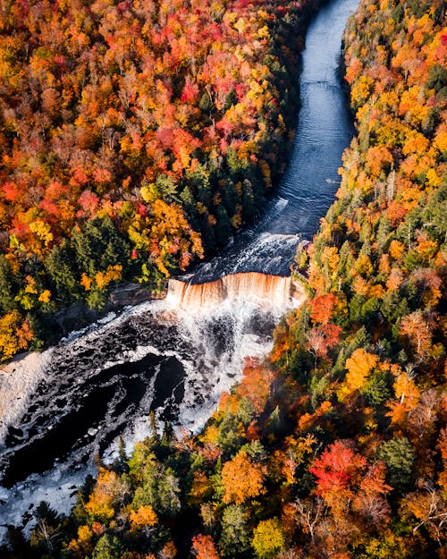 Aerial View of a River between Trees