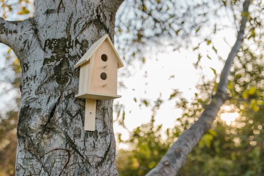 Simple wooden birdhouse on a tree trunk in a natural setting with soft sunlight.