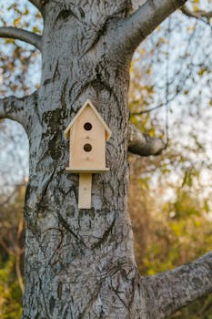 A wooden birdhouse mounted on a tree trunk, surrounded by serene natural settings.
