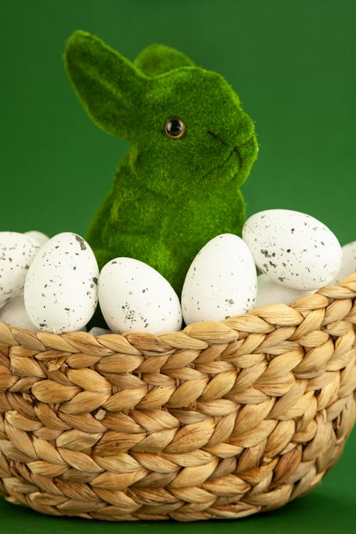 Green and White Frog Plush Toy