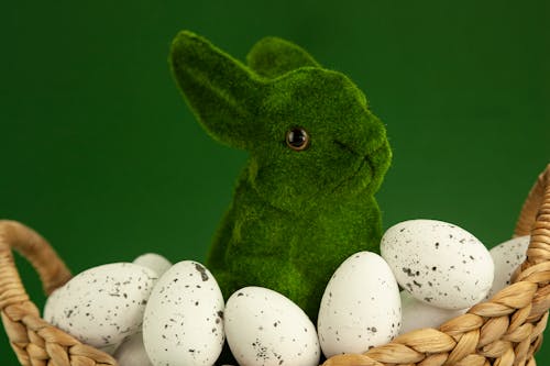 Green and White Rabbit Plush Toy