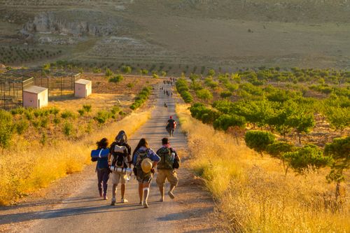 Free A group of hikers walks down a road through a desert landscape at sunset, capturing the essence of outdoor adventure. Stock Photo