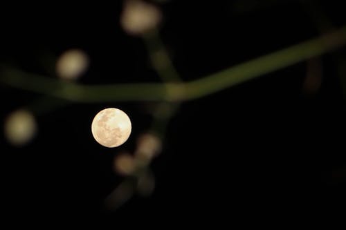 Бесплатное стоковое фото с луна, луна ночью, лунная фотография