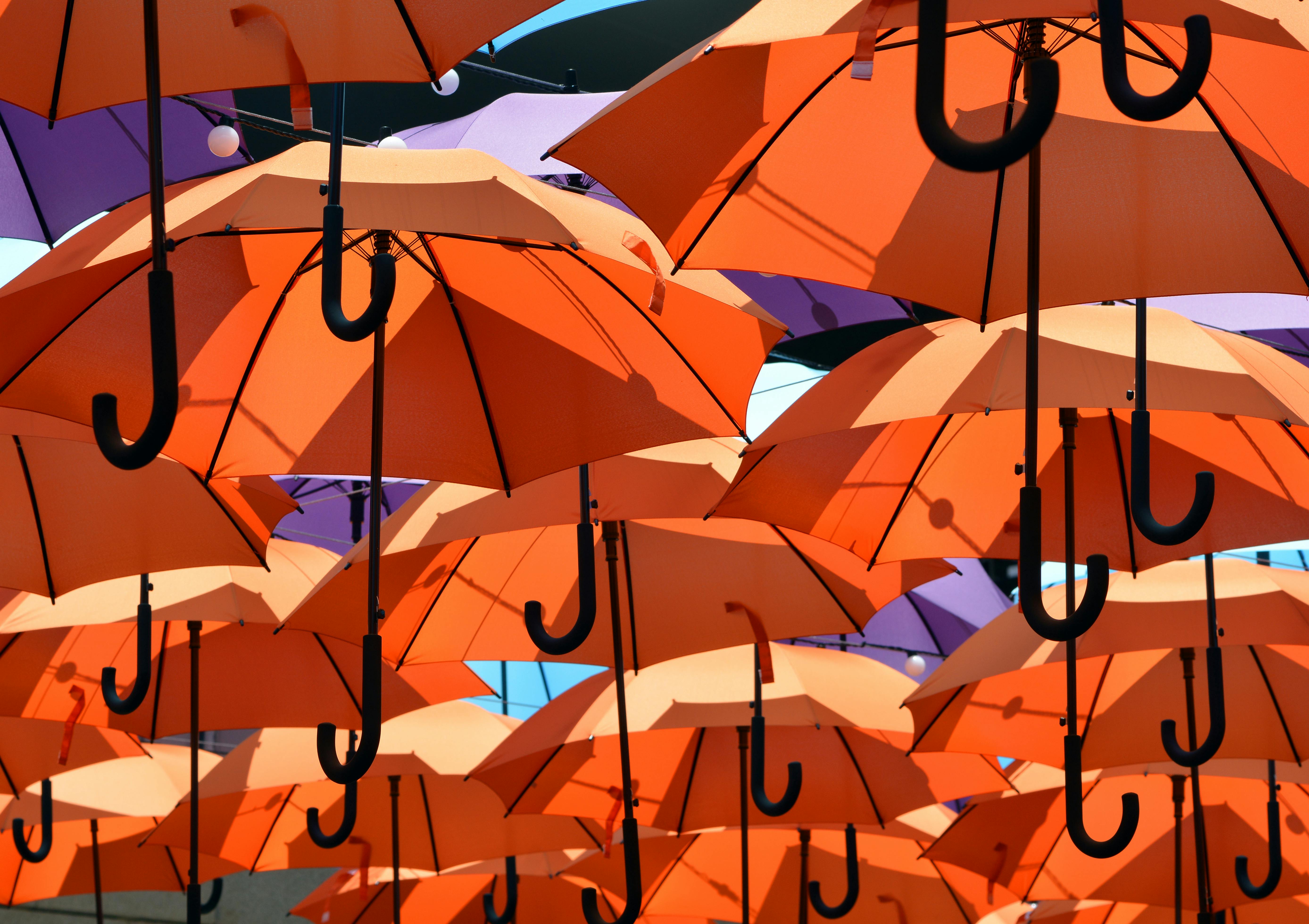 Photo of Hanging Umbrellas · Free Stock Photo