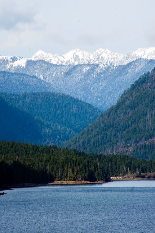 Free A tranquil view of snow-capped mountains above a serene forested lake, capturing nature's beauty. Stock Photo