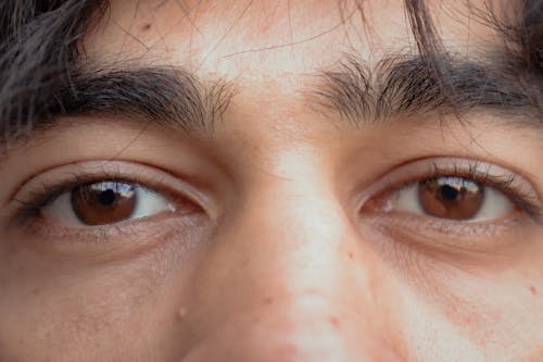 Closeup of crop calm ethnic person with thick eyebrows and brown eyes looking at camera
