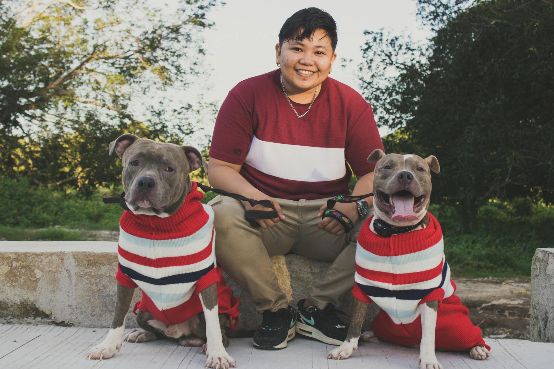 A Boy with His Pet Pit Bulls