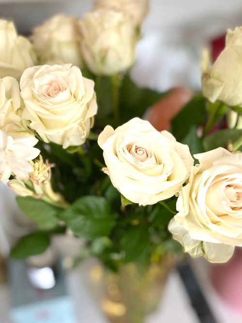 Free A beautiful arrangement of elegant white roses in a vase, showcasing their delicate petals. Stock Photo