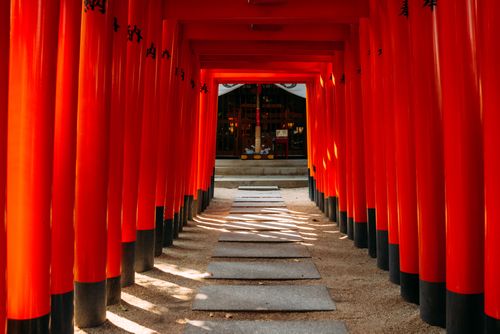 Free Vibrant red torii gates create a mesmerizing pathway at a serene Japanese shrine. Stock Photo