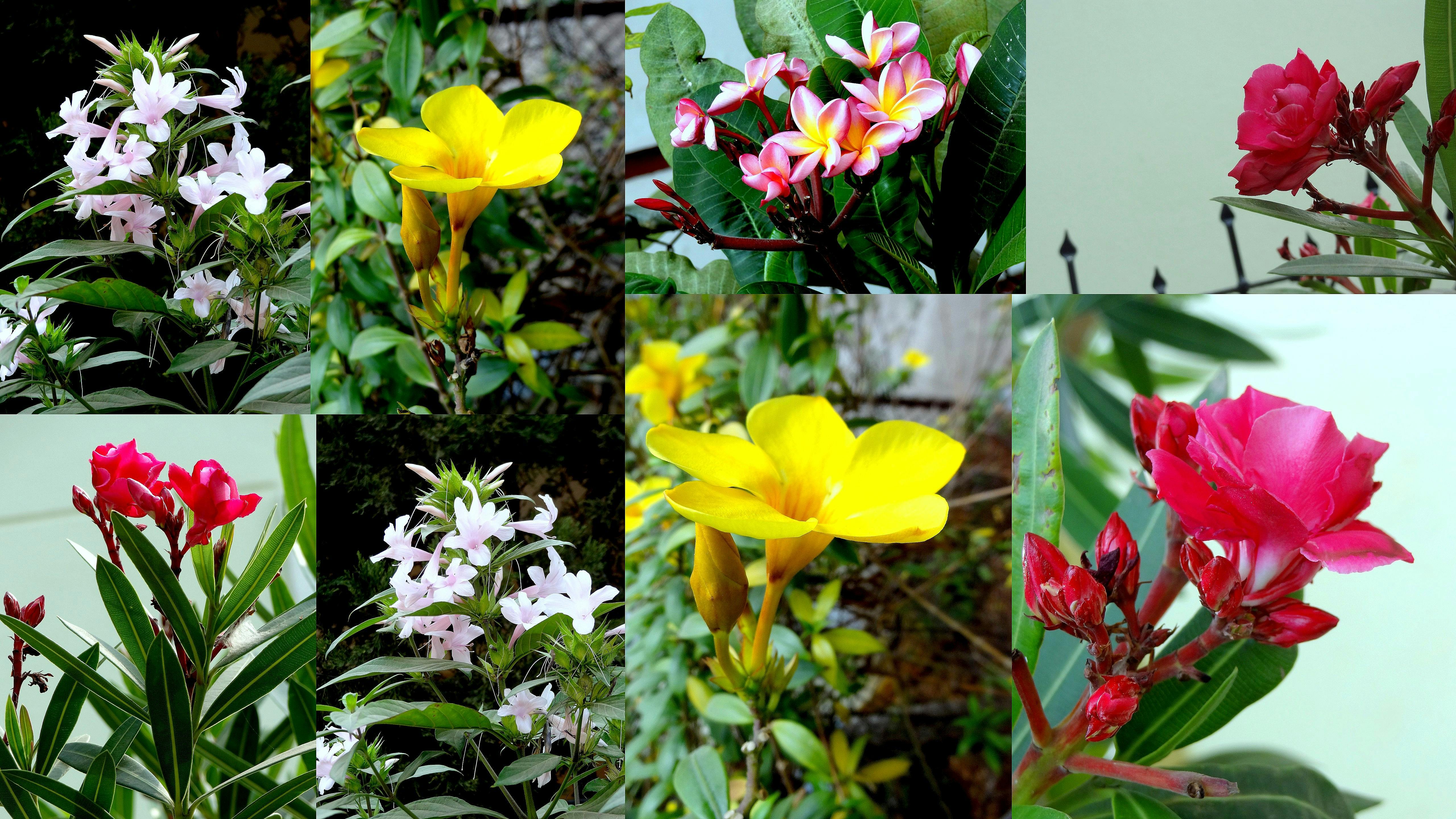 Hostel-Küche zur gemeinsamen Nutzung