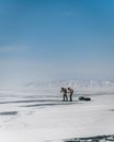 Anonymous tourists with rucksacks skiing on icy river against snowy mount under cloudy blue sky in wintertime