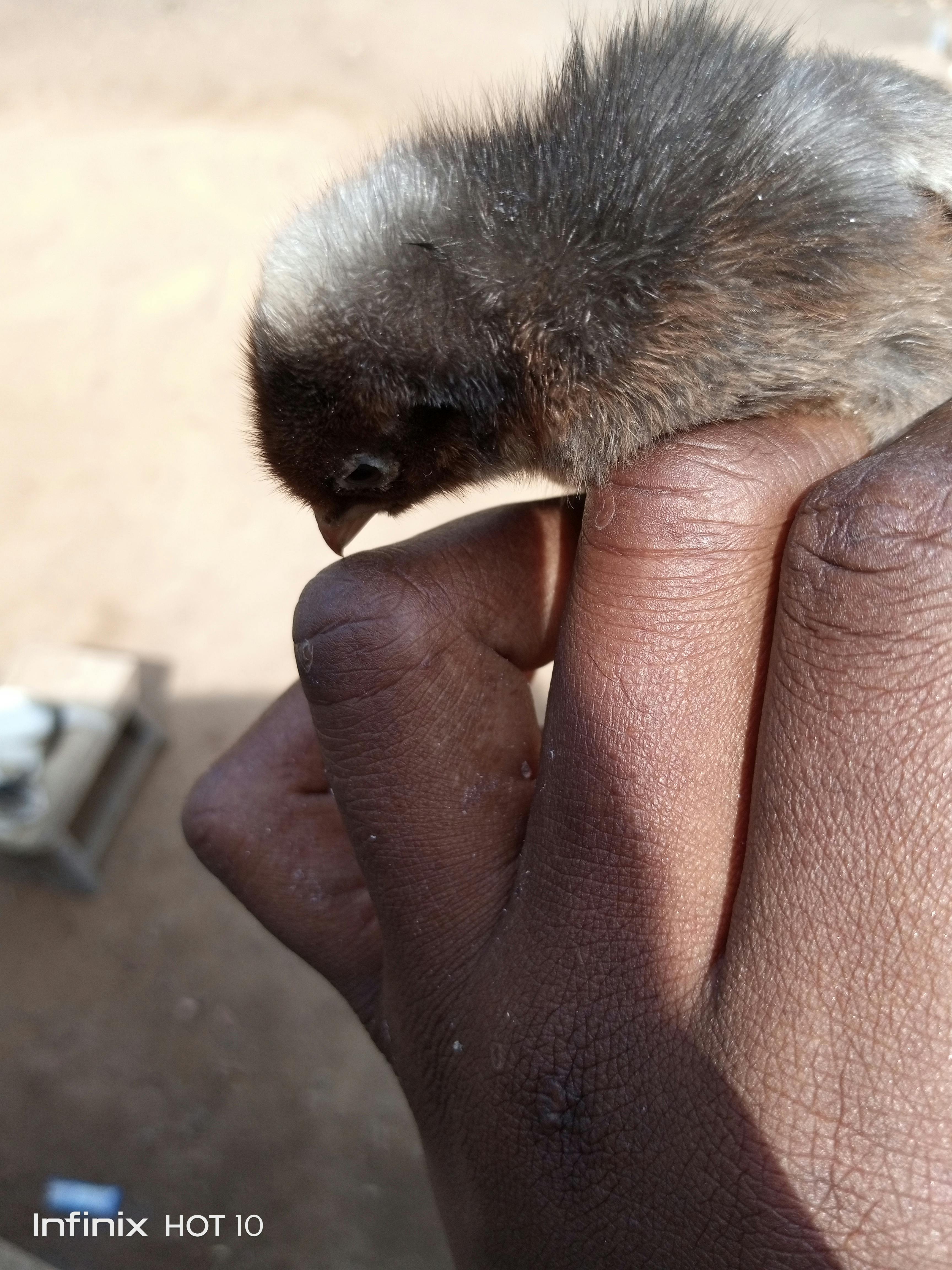 Doctor discussing dementia diagnosis with a patient and family member