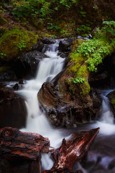 体验俄勒冈州森林中苔藓覆盖的小瀑布的宁静之美