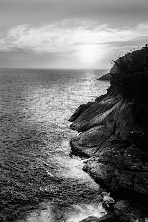 A Grayscale of a Rocky Shore