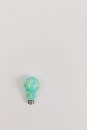 Green Painted Bulb on White Background