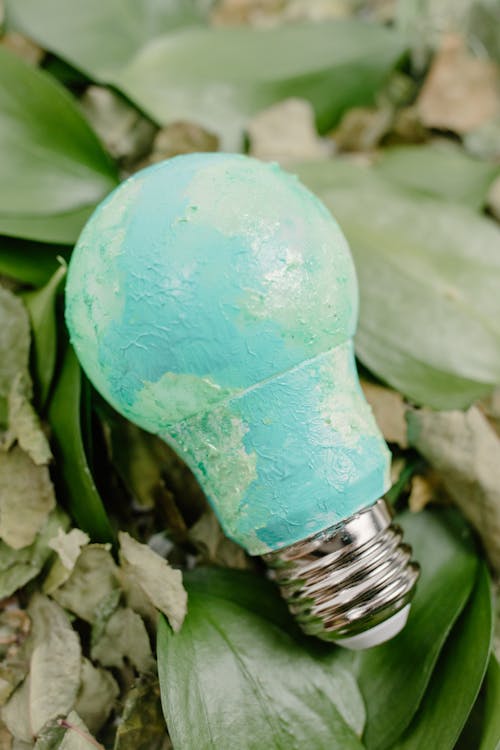 Green Light Bulb on Green Plant