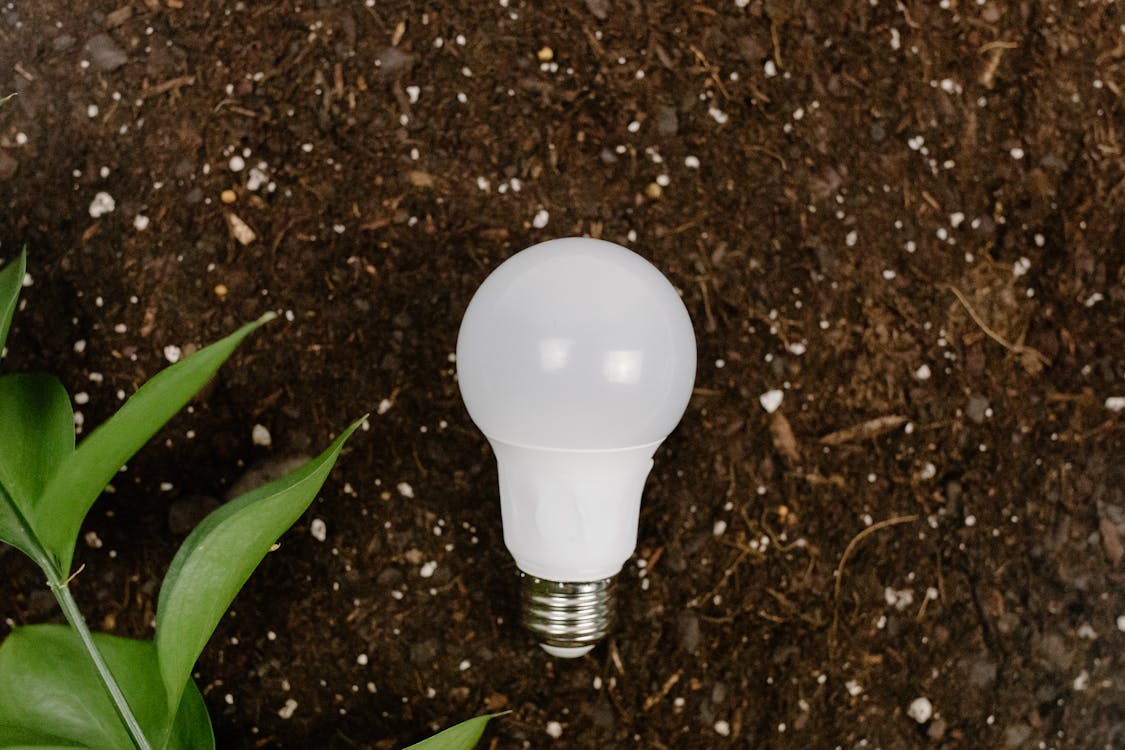 White Light Bulb on Brown Soil