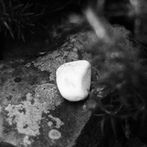 Free stock photo of blur, bokeh, bw photography Stock Photo