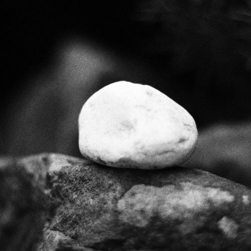 Free stock photo of blur, bokeh, bw photography Stock Photo