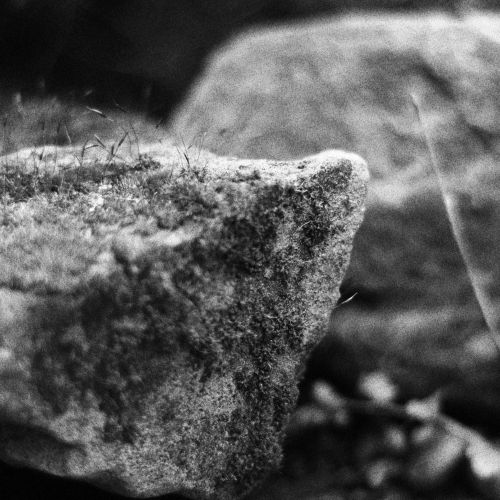 Free stock photo of blur, bokeh, bw photography Stock Photo