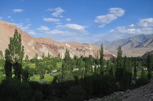 Fotos de stock gratuitas de leh, monasterio, verde