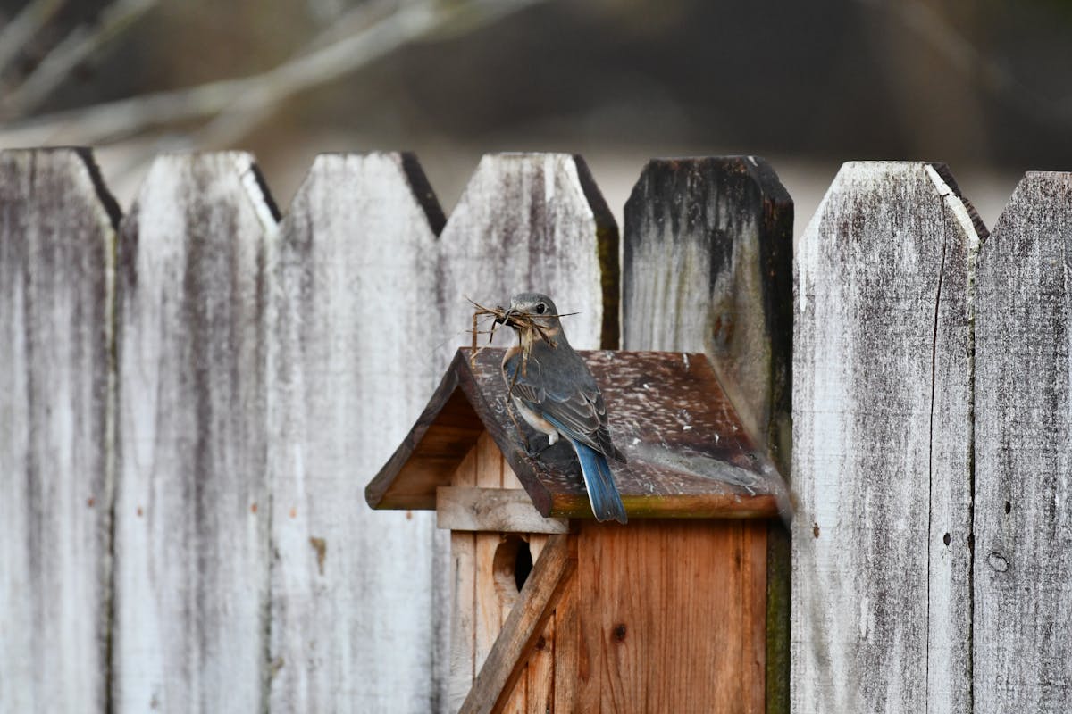 Person writing in a journal beside a cup of coffee