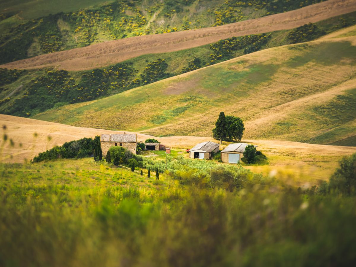 4 Day Custom Relax Yoga & Outdoor Retreat in Tuscany, Italy 2