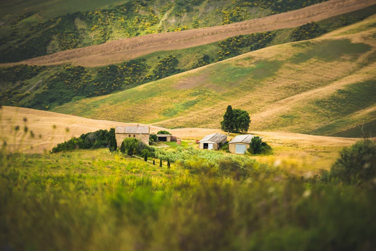 House And Barns Among Fields