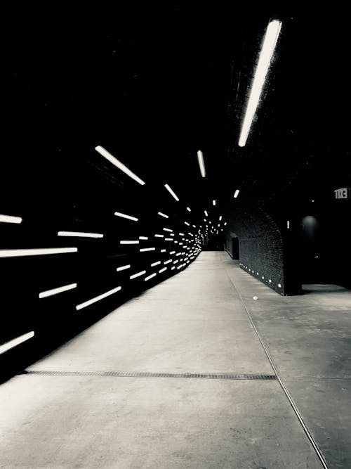 Ingyenes stockfotó alagút, egyszínű, fekete és fehér témában