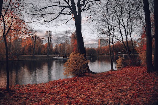 湖畔宁静，秋景静谧，绿树成荫