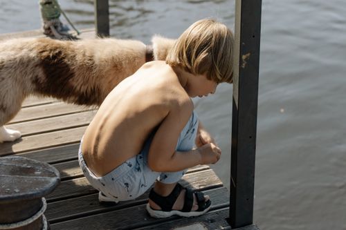 Free Boy and dog on a pier, enjoying the outdoors by the water. Stock Photo