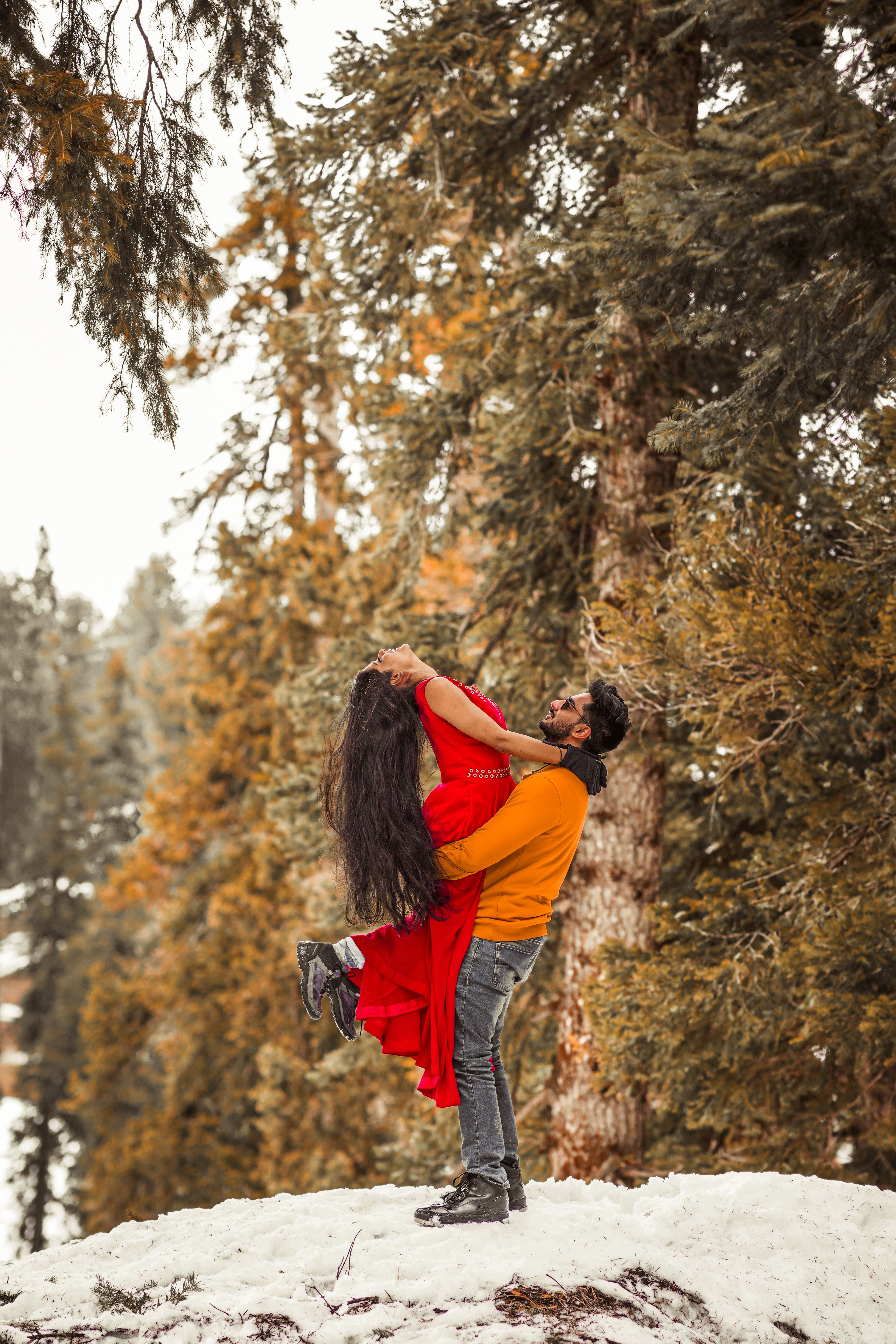 Together in winter — Kashmir Pines