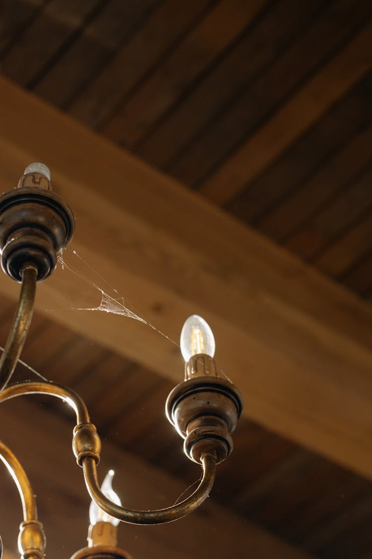 Web On A Chandelier 